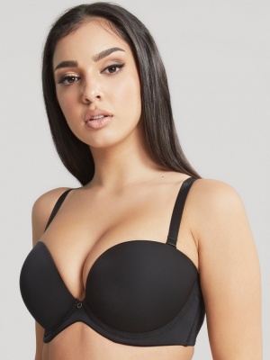 Cleo Faith Moulded Strapless Bra - Black