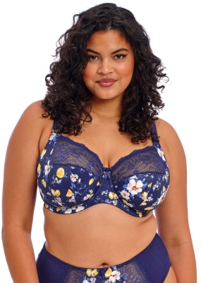 Elomi Morgan Underwired Banded Bra - Sicilia