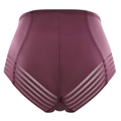 Panache Black Etta High Waist Brief - Wine